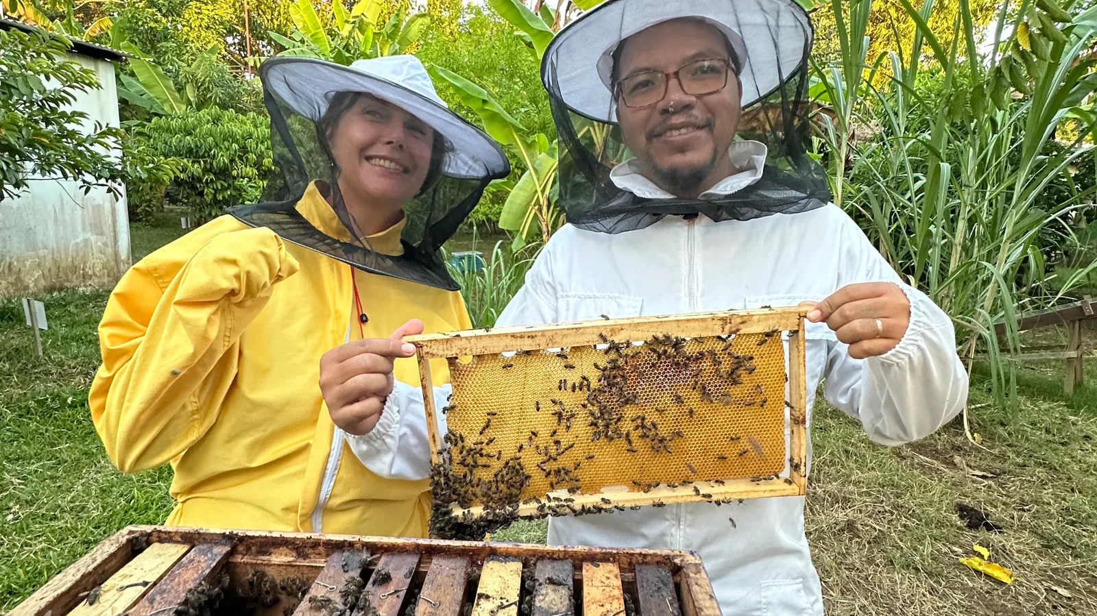 L'Abeille malagasy