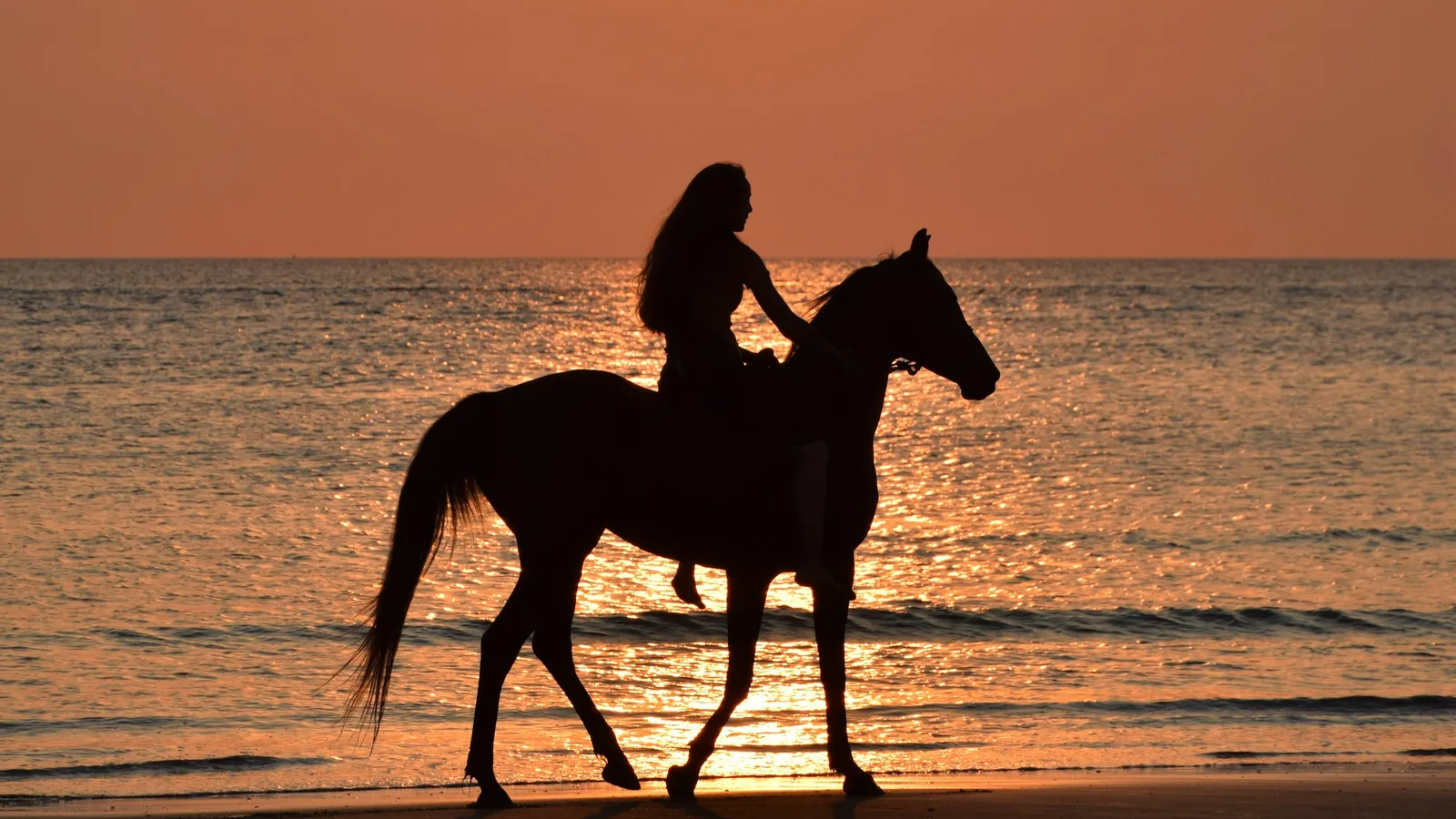 Balade à cheval avec le ranch Ambaro