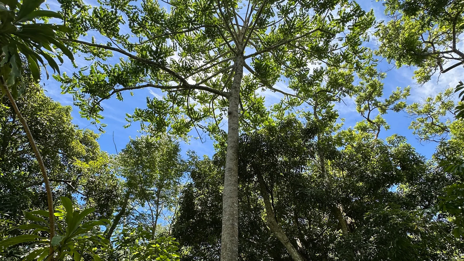 Le domaine de Florette