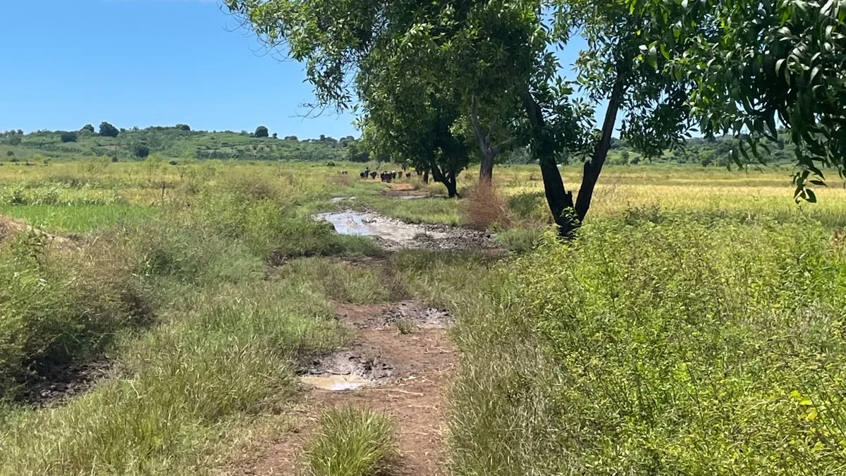 Découvrir Nosy Be en quad